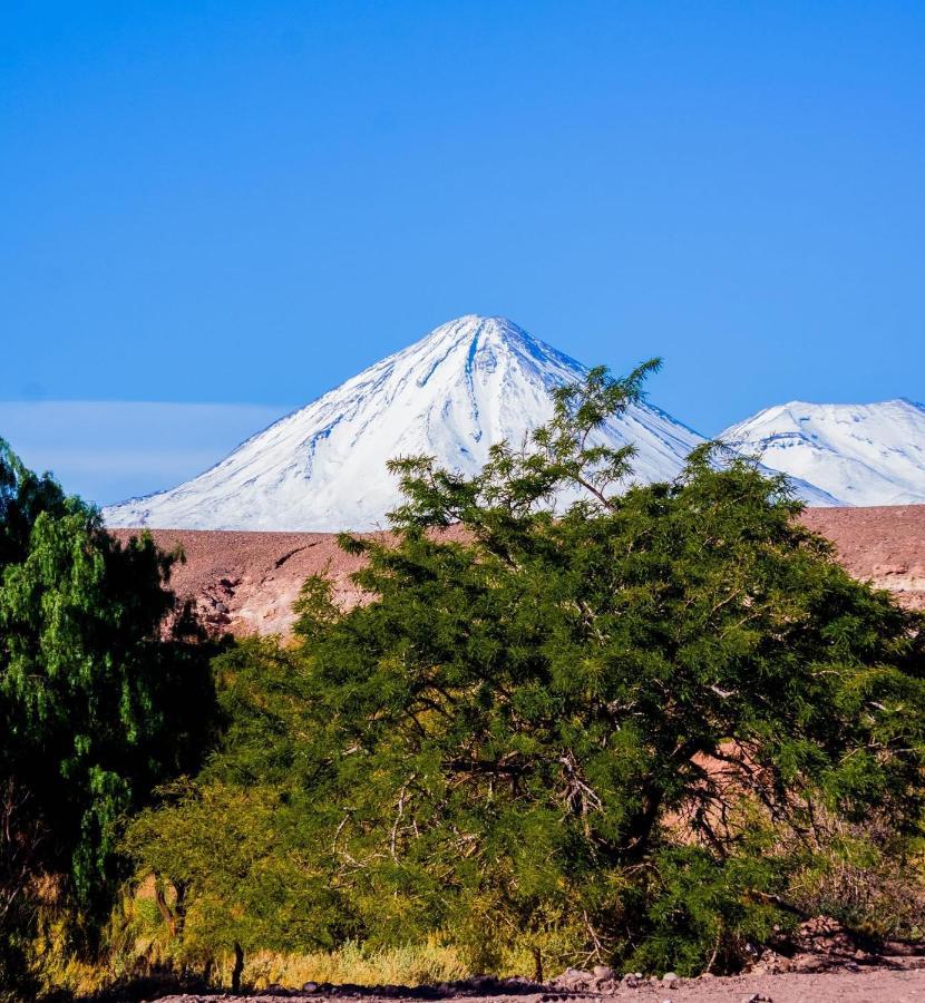 Hostal Don Felix San Pedro de Atacama Kültér fotó